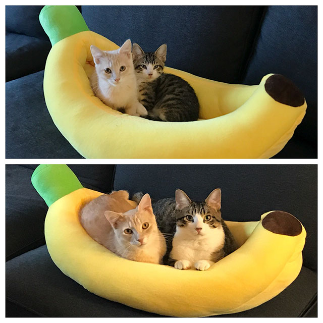 Banana boat for 2. 