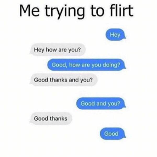 flirting funny - Me trying to flirt Hey Hey how are you? Good, how are you doing? Good thanks and you? Good and you? Good thanks Good