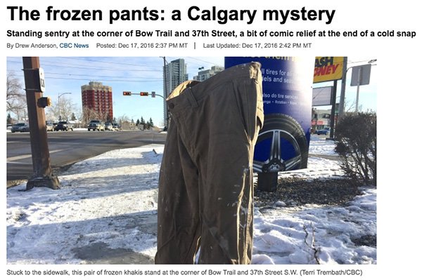 20 News Stories From Canada That Are Odd and Hilarious