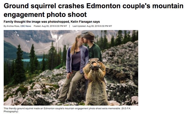 20 News Stories From Canada That Are Odd and Hilarious