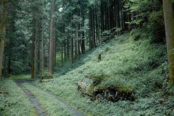 Two cars left in the woods in Japan.