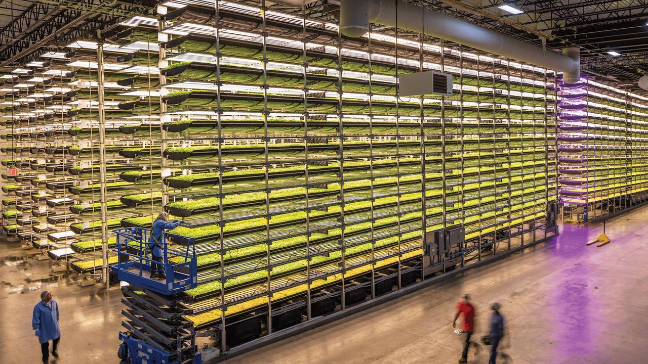 Indoor vertical farm