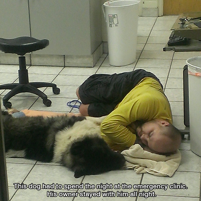 remind you that life is beautiful - This dog had to spend the night at the emergency clinic. His owner stayed with him all night