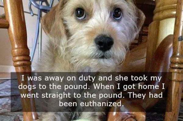 funny break up stories - I was away on duty and she took my dogs to the pound. When I got home I went straight to the pound. They had been euthanized.