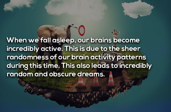 17 Interesting Facts About Dreams