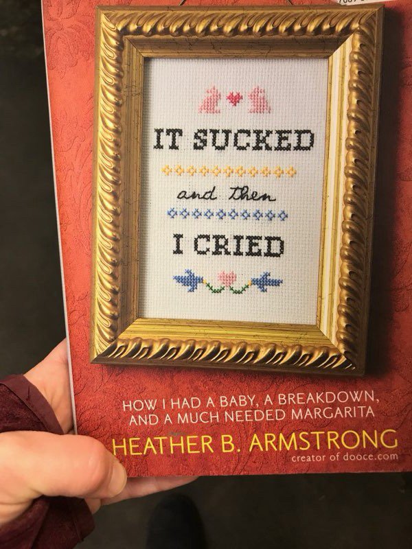 thrift store cross stitch book covers - 227 It Sucked and then I Cried W How I Had A Baby, A Breakdown, And A Much Needed Margarita, Heather B. Armstrong creator of dooce.com