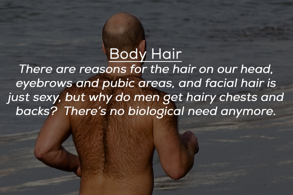 water - Body Hair There are reasons for the hair on our head, eyebrows and pubic areas, and facial hair is just sexy, but why do men get hairy chests and backs? There's no biological need anymore.
