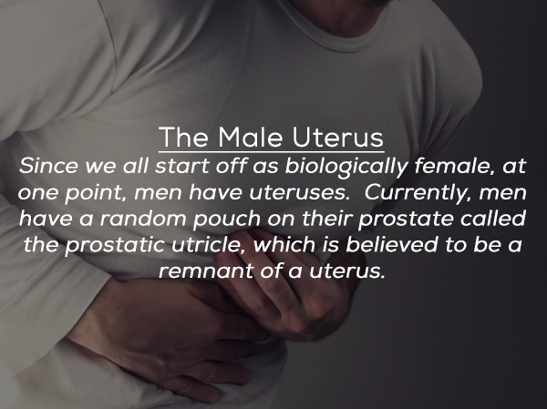 human - The Male Uterus Since we all start off as biologically female, at one point, men have uteruses. Currently, men have a random pouch on their prostate called the prostatic utricle, which is believed to be a remnant of a uterus.
