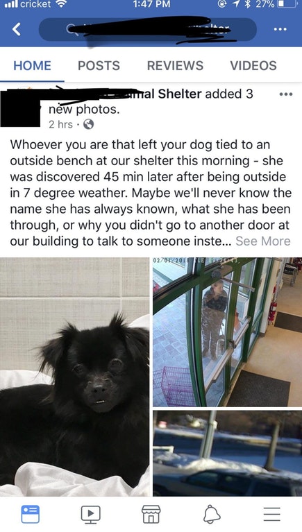 photo caption - Il cricket @ 1 27% Home Posts Reviews Videos mal Shelter added 3 new photos. 2 hrs. Whoever you are that left your dog tied to an outside bench at our shelter this morning She was discovered 45 min later after being outside in 7 degree wea