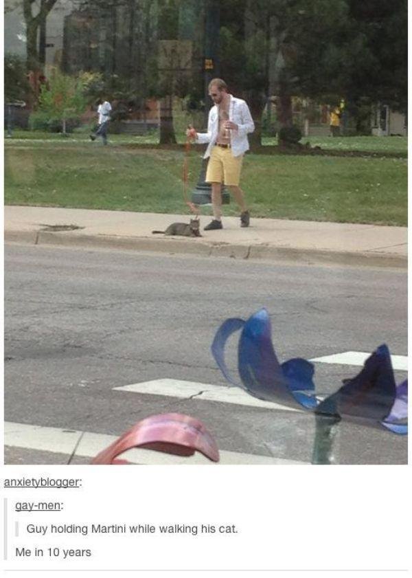 guy walking his cat with martini - anxietyblogger gaymen Guy holding Martini while walking his cat. Me in 10 years