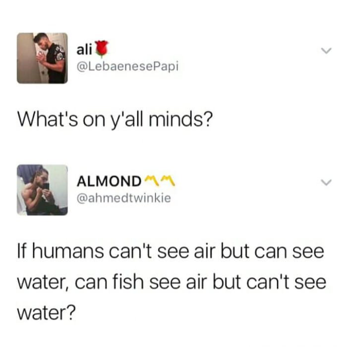what's on y all minds - ali What's on y'all minds? Almond If humans can't see air but can see water, can fish see air but can't see water?