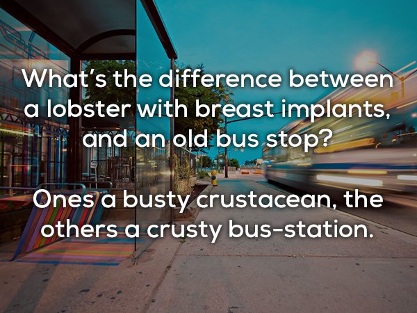dad joke roof - What's the difference between a lobster with breast implants, it and an old bus stop? Ones a busty crustacean, the others a crusty busstation.