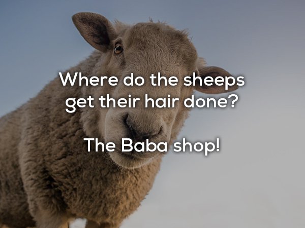 dad joke bad - Where do the sheeps get their hair done? The Baba shop!
