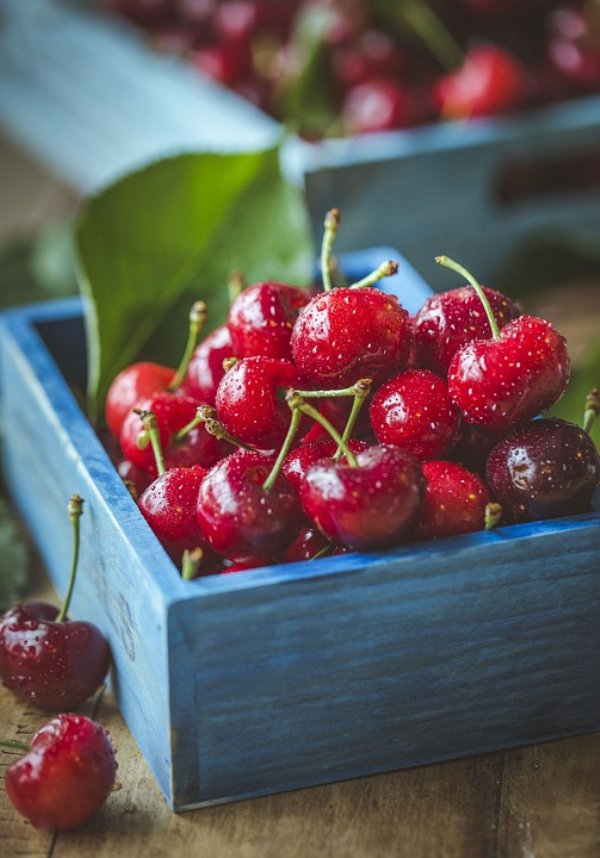 OREGON: Maraschino cherries
