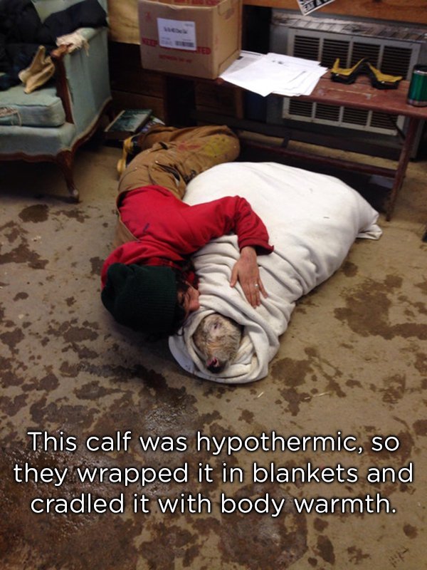 24 people will restore your faith in humanity