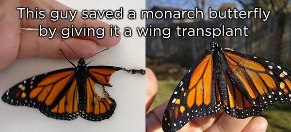 24 people will restore your faith in humanity