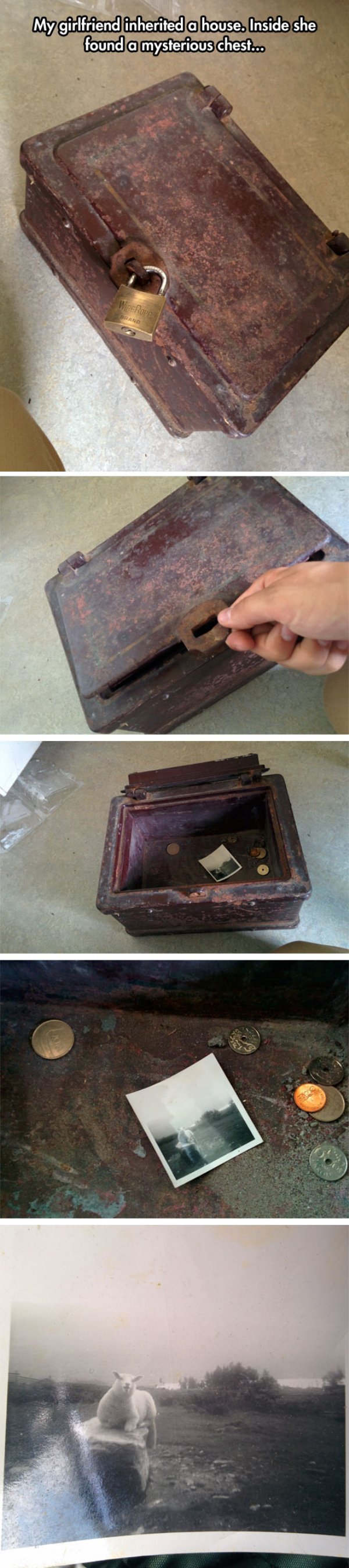 My girlfriend inherited a house. Inside she found a mysterious chest.co Wiperope