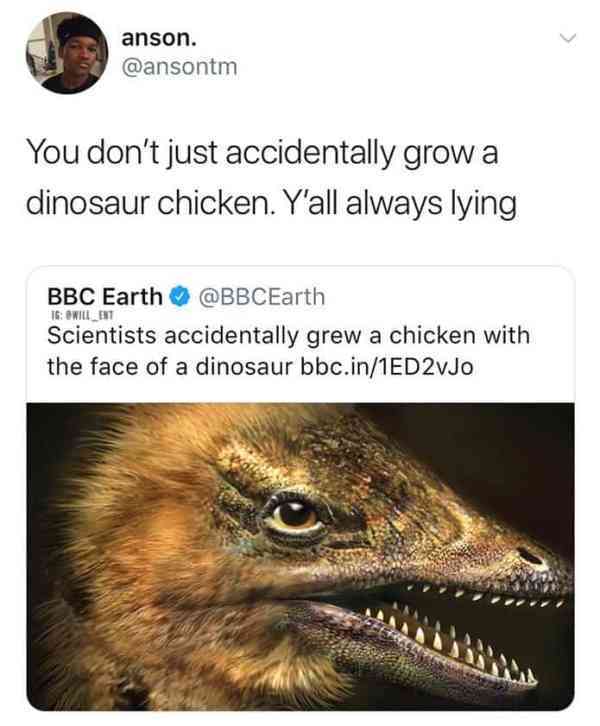 scientists accidentally grew a chicken with the face of a dinosaur - anson. You don't just accidentally grow a dinosaur chicken. Y'all always lying Tg Wilian Bbc Earth Scientists accidentally grew a chicken with the face of a dinosaur bbc.in1ED2vJo