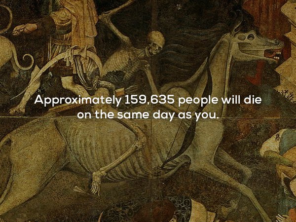 22 Crazy Facts That You Won't Believe