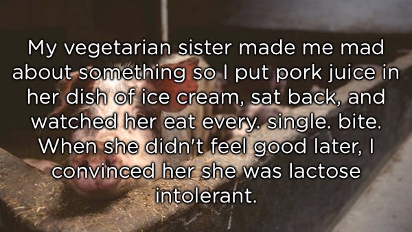 photo caption - My vegetarian sister made me mad about something so I put pork juice in her dish of ice cream, sat back, and watched her eat every single. bite. When she didn't feel good later, convinced her she was lactose intolerant.