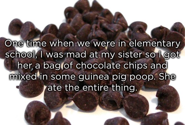 choco chips - One time when we were in elementary school, I was mad at my sister so I got her a bag of chocolate chips and mixed in some guinea pig poop. She Fate the entire thing.
