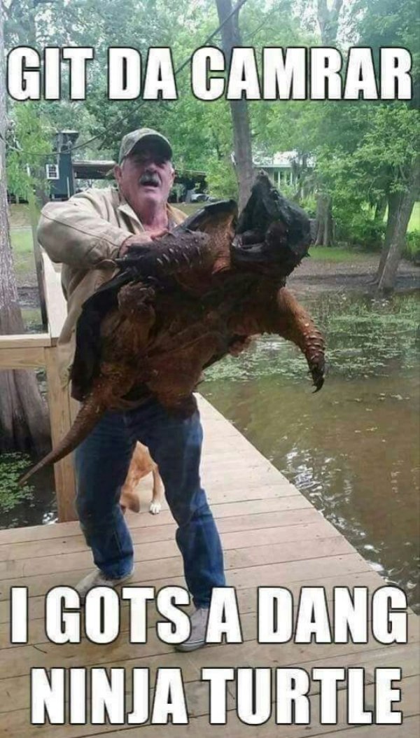 wtf alligator snapping turtle in texas - Git Da Camrar I Gots A Dang Ninja Turtle