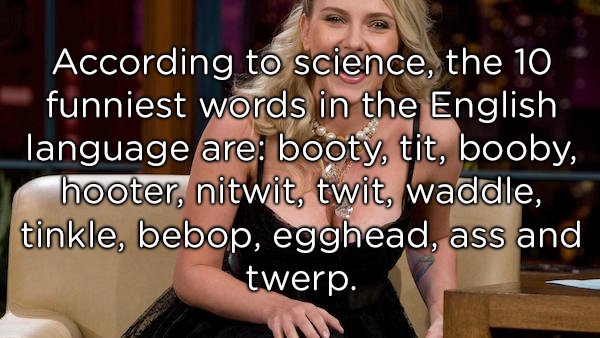 photo caption - According to science, the 10 funniest words in the English language are booty, tit, booby, hooter, nitwit, twit, waddle, tinkle, bebop, egghead, ass and twerp.