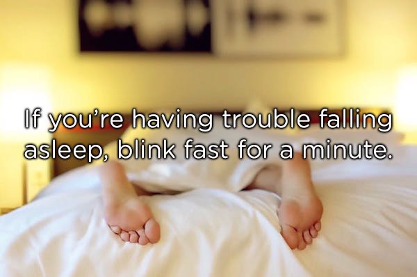 photo caption - If you're having trouble falling asleep, blink fast for a minute.