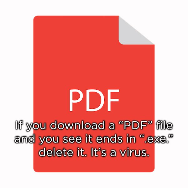 graphics - Pdf If you download a "Pdf" file and you see it ends in ".exe. delete it. It's a virus.