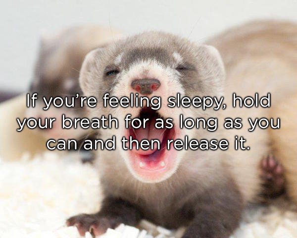 mooie meiden hyves - If you're feeling sleepy, hold your breath for as long as you can and then release it.