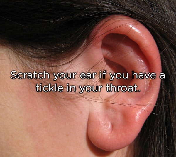 Scratch your ear if you have a tickle in your throat.