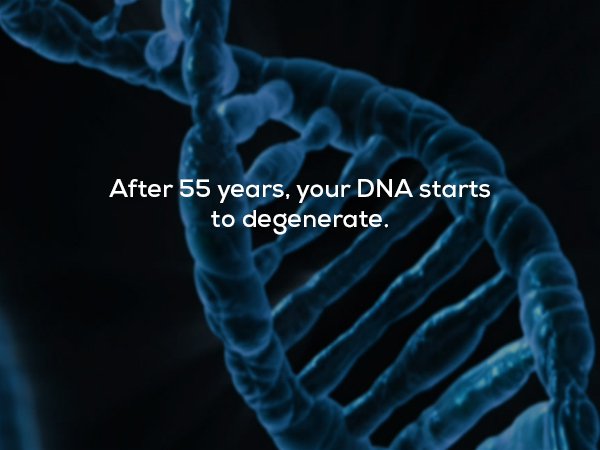 biology and future - After 55 years, your Dna starts to degenerate.