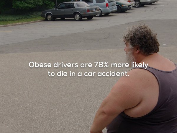 Trivia - Obese drivers are 78% more ly to die in a car accident.
