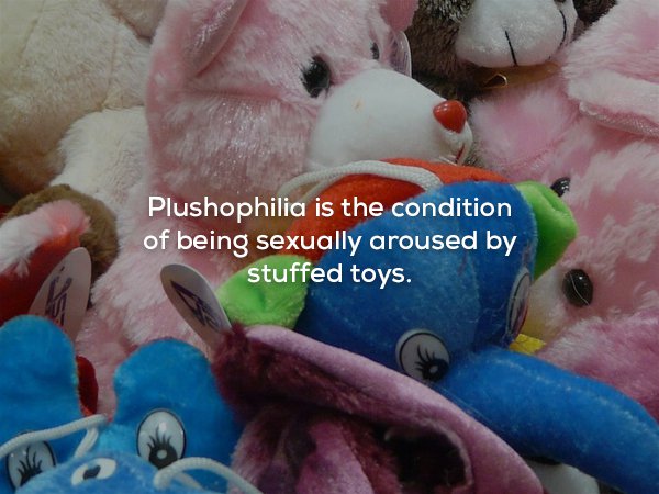 Plushophilia is the condition of being sexually aroused by stuffed toys.