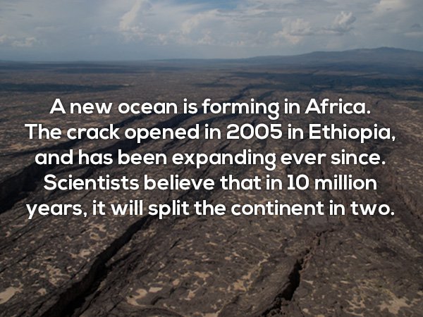 geology - A new ocean is forming in Africa. The crack opened in 2005 in Ethiopia, and has been expanding ever since. Scientists believe that in 10 million years, it will split the continent in two.