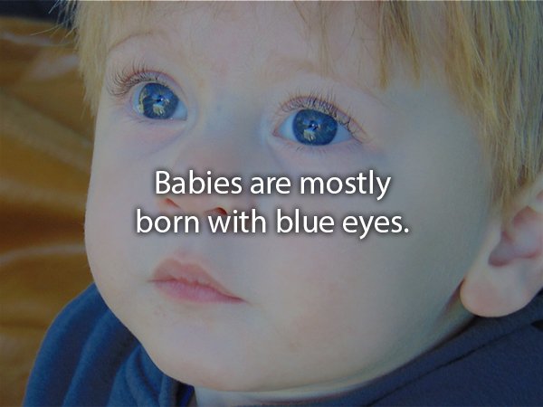 blue eyes cute baby boy - Babies are mostly born with blue eyes.