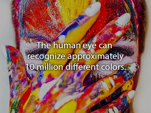 been painting - The human eye can recognize approximately 10 million different colors.
