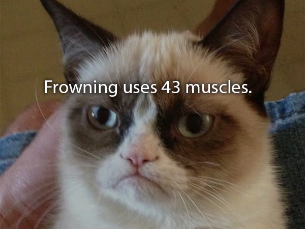 do not approve meme - Frowning uses 43 muscles.