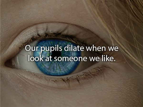 Our pupils dilate when we look at someone we .
