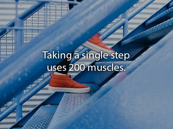 Stairs - Taking a single step uses 200 muscles.