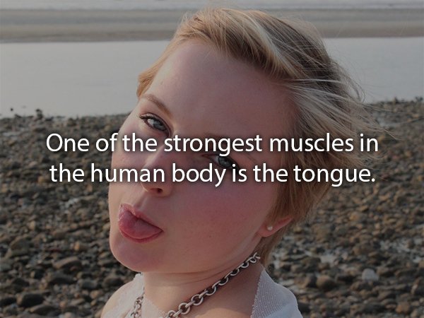 One of the strongest muscles in the human body is the tongue.