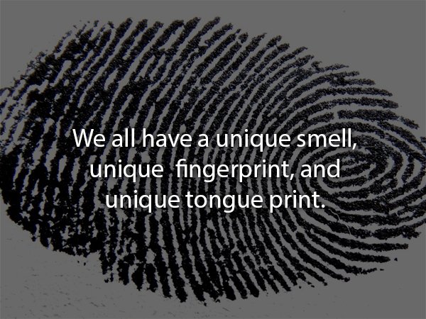 detective fingerprint - 09 Stas We all have a unique smell, unique fingerprint, and Cunique tongue print.