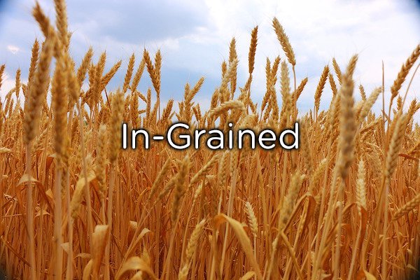 The grain conspiracy. The US put grain on bottom of the food pyramid (most needed) to get consumers to buy more grain from farmers. This is 100% real.