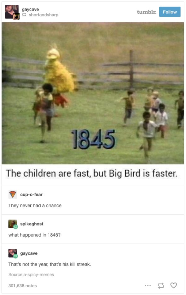 big bird meme - gaycave shortandsharp tumblr. 1845 The children are fast, but Big Bird is faster. cupofear They never had a chance spikeghost what happened in 1845? gaycave That's not the year, that's his kill streak. Sourceaspicymemes 301,638 notes