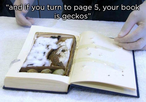animal smuggling - and if you turn to page 5, your book is geckos"