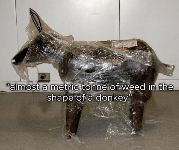people smuggling drugs - "almost a metric tonne of weed in the shape of a donkey"