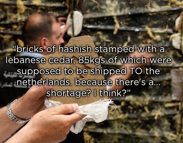 "bricks of hashish stamped with a lebanese cedar, 85kgs of which were e supposed to be shipped To the netherlands. because there's a... shortage? I think?"