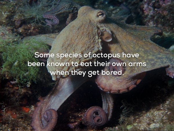 19 Creepy And Disturbing Facts That Will Haunt Your Dreams