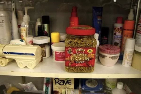 mason jar - Lo Dvd Atult Bearded Dragon Food Rave