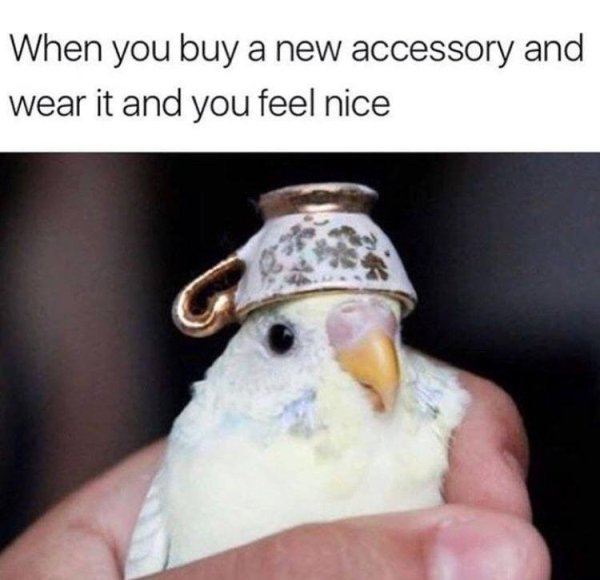 you buy a new accessory and you wear it and you feel nice - When you buy a new accessory and wear it and you feel nice